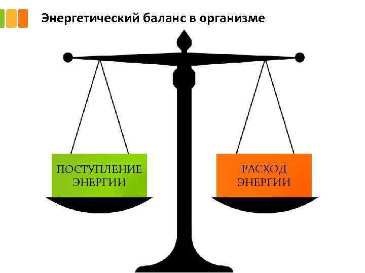 Энергетический баланс в организме ПОСТУПЛЕНИЕ ЭНЕРГИИ РАСХОД ЭНЕРГИИ 