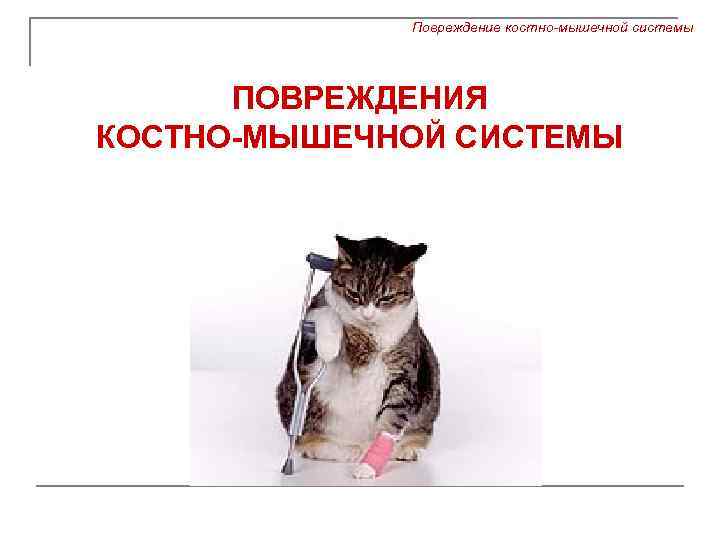 Повреждение костно-мышечной системы ПОВРЕЖДЕНИЯ КОСТНО-МЫШЕЧНОЙ СИСТЕМЫ 