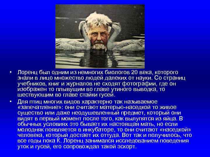  • Лоренц был одним из немногих биологов 20 века, которого знали в лицо