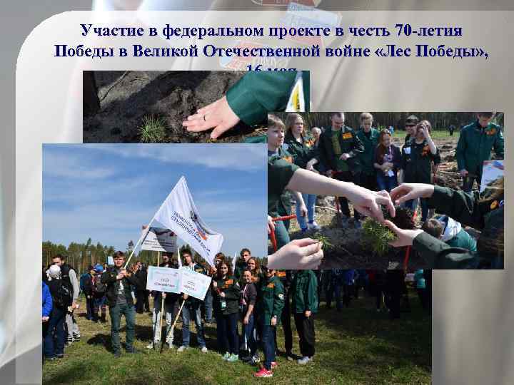 Участие в федеральном проекте в честь 70 -летия Победы в Великой Отечественной войне «Лес