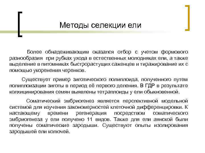 Методы селекции ели Более обнадеживающим оказался отбор с учетом формового разнообразия при рубках ухода