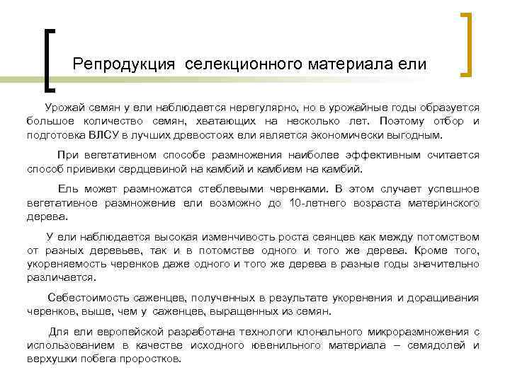 Репродукция селекционного материала ели Урожай семян у ели наблюдается нерегулярно, но в урожайные годы