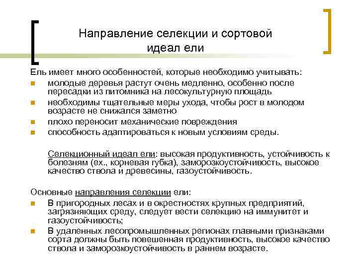 Направление селекции и сортовой идеал ели Ель имеет много особенностей, которые необходимо учитывать: n
