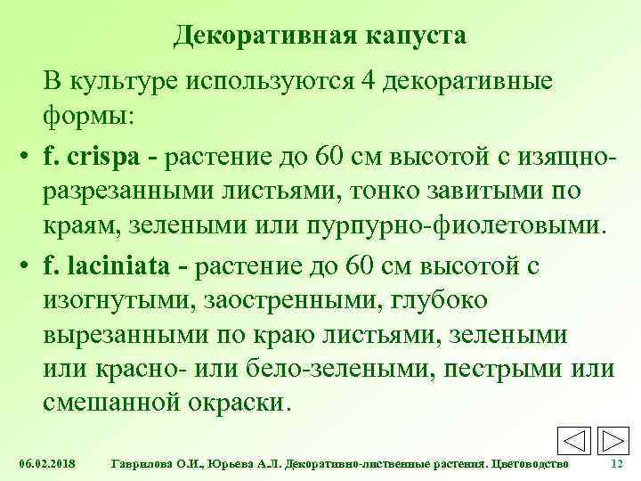 Декоративная капуста В культуре используются 4 декоративные формы: • f. crispa - растение до
