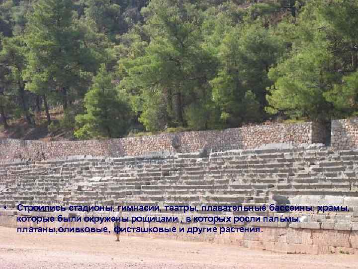  • Строились стадионы, гимнасии, театры, плавательные бассейны, храмы, которые были окружены рощицами ,