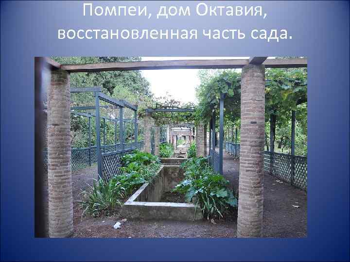 Помпеи, дом Октавия, восстановленная часть сада. 