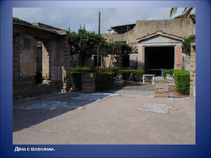 Дом с оленями. 