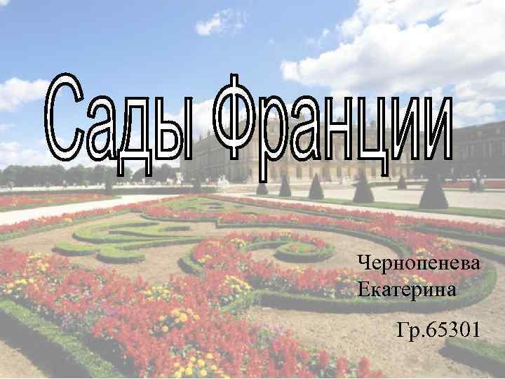 Чернопенева Екатерина Гр. 65301 