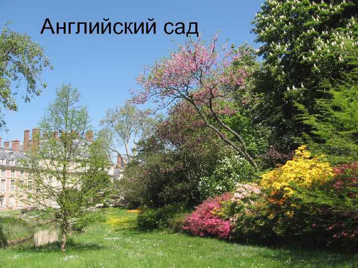 Английский сад 