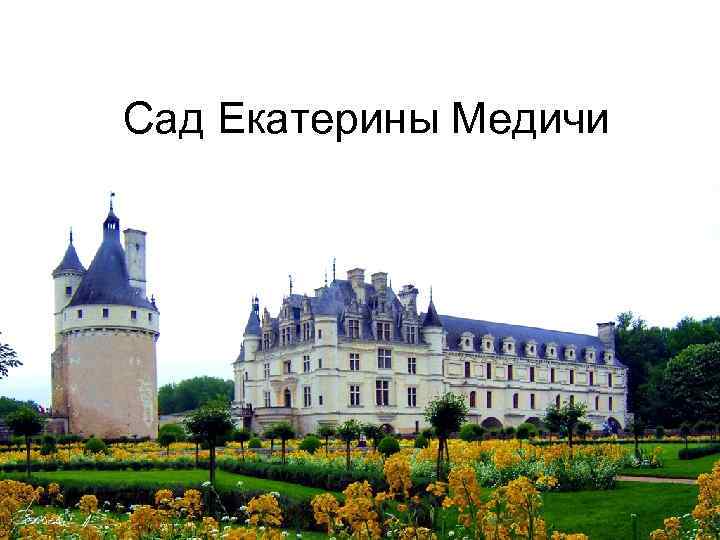 Сад Екатерины Медичи 
