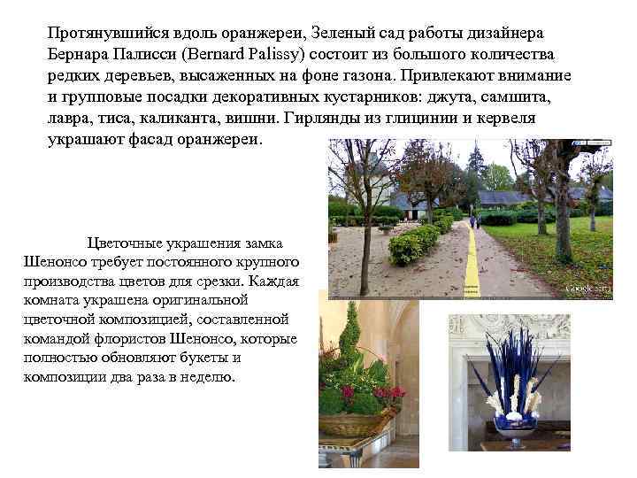 Протянувшийся вдоль оранжереи, Зеленый сад работы дизайнера Бернара Палисси (Bernard Palissy) состоит из большого