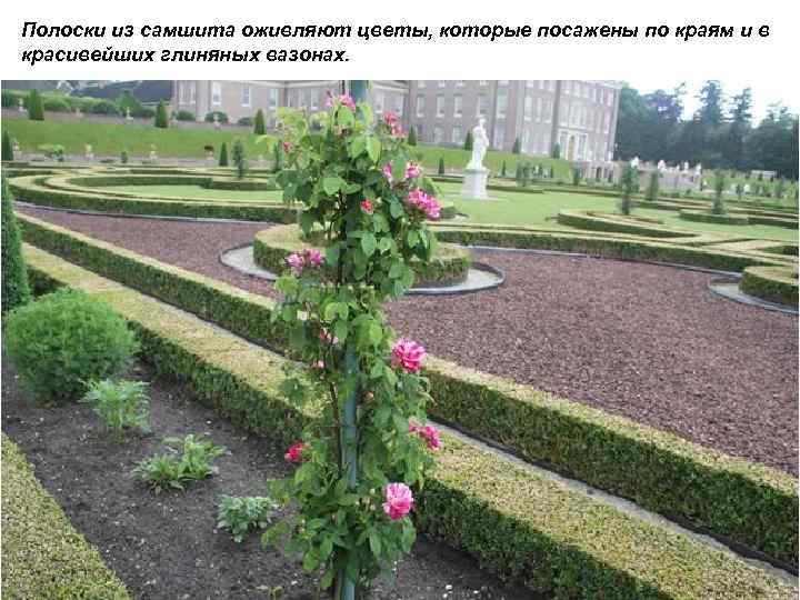 Полоски из самшита оживляют цветы, которые посажены по краям и в красивейших глиняных вазонах.