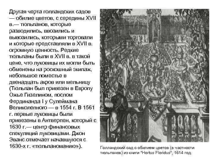 Другая черта голландских садов — обилие цветов, с середины XVII в. — тюльпанов, которые