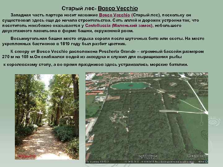Старый лес- Bosco Vecchio Западная часть партера носит название Bosco Vecchio (Старый лес), поскольку