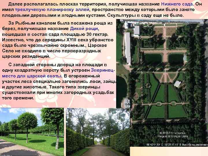 Далее располагалась плоская территория, получившая название Нижнего сада. Он имел трехлучевую планировку аллей, пространство