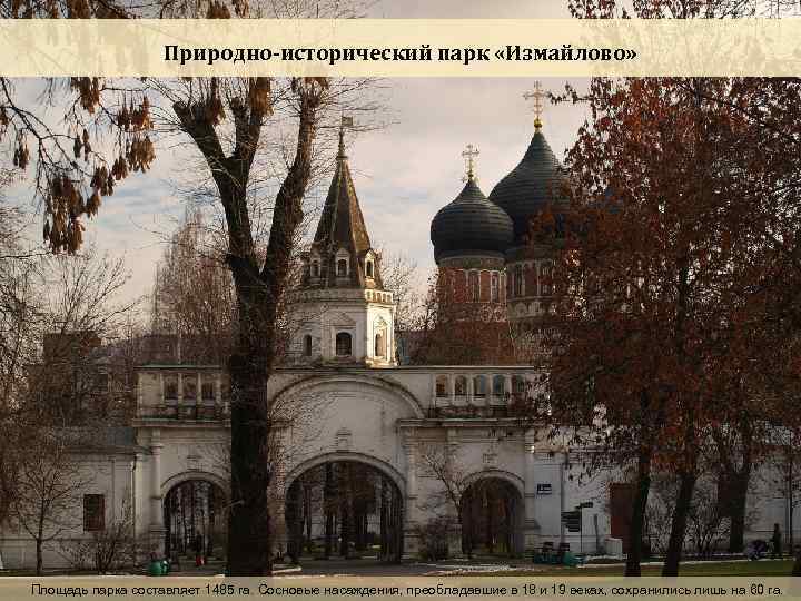 Природно-исторический парк «Измайлово» Площадь парка составляет 1485 га. Сосновые насаждения, преобладавшие в 18 и