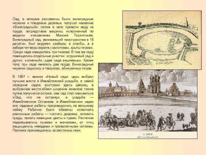 Сад, в котором рассажены были виноградные черенки и плодовые деревья, получил название «Виноградный» ;