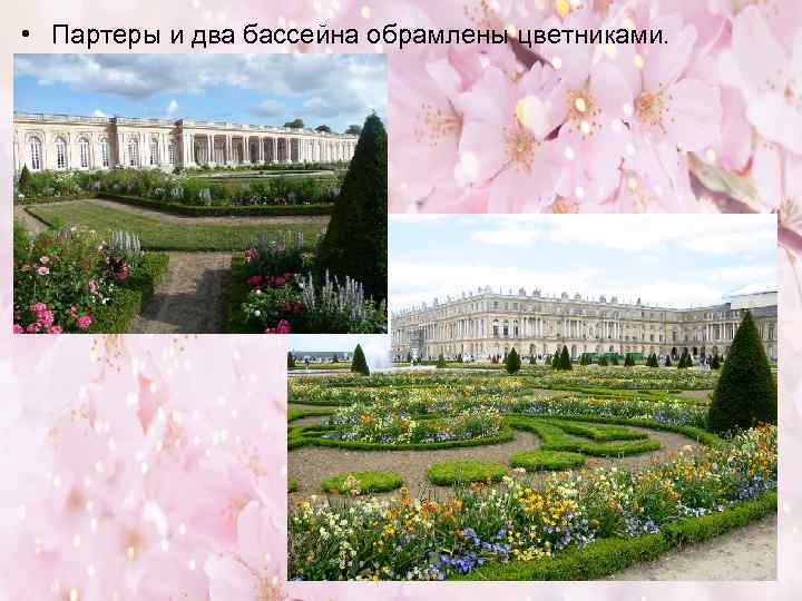  • Партеры и два бассейна обрамлены цветниками. 