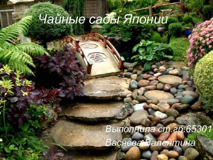 Чайные сады Японии Выполнила ст. гр. 65301 Васяева Валентина 