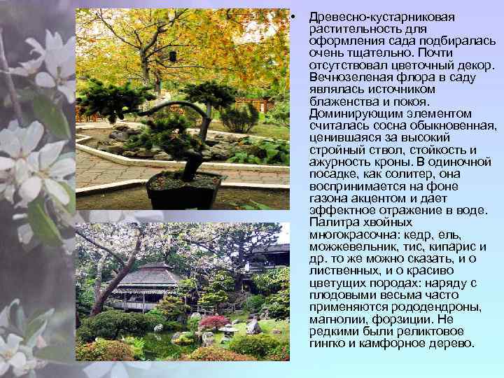  • Древесно-кустарниковая растительность для оформления сада подбиралась очень тщательно. Почти отсутствовал цветочный декор.