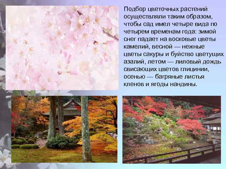  • Подбор цветочных растений осуществляли таким образом, чтобы сад имел четыре вида по