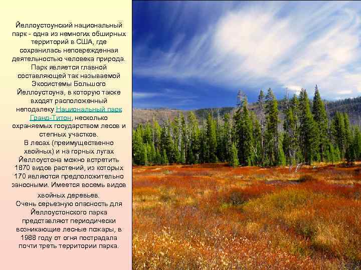 Йеллоустоунский национальный парк - одна из немногих обширных территорий в США, где сохранилась неповрежденная