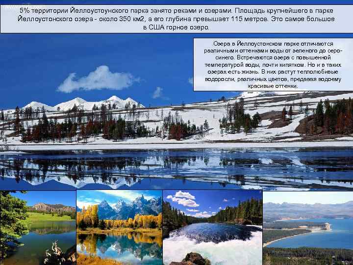 5% территории Йеллоустоунского парка занято реками и озерами. Площадь крупнейшего в парке Йеллоустонского озера