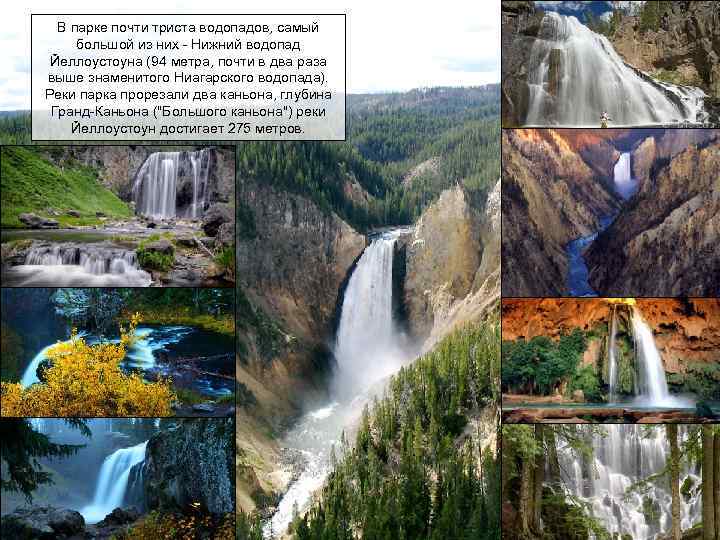 В парке почти триста водопадов, самый большой из них - Нижний водопад Йеллоустоуна (94