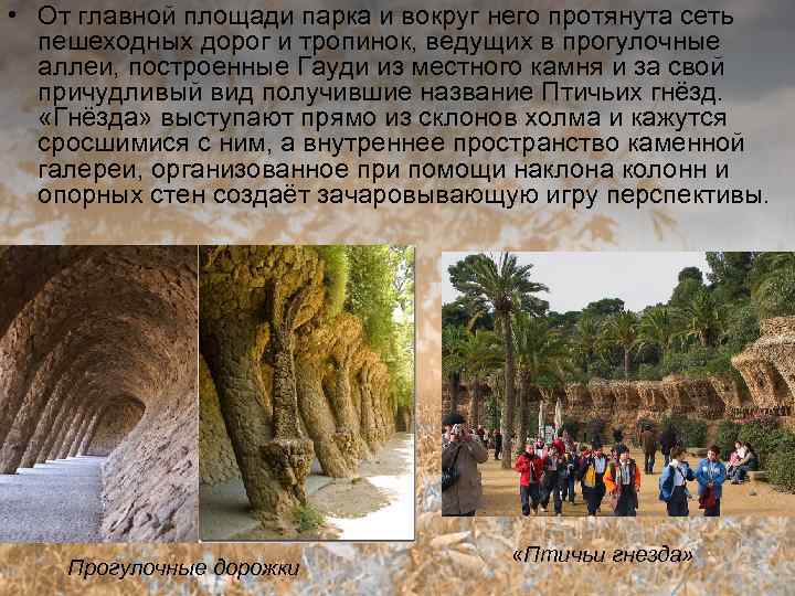 • От главной площади парка и вокруг него протянута сеть пешеходных дорог и