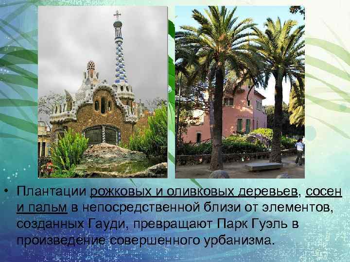  • Плантации рожковых и оливковых деревьев, сосен и пальм в непосредственной близи от