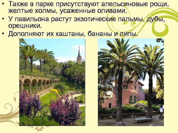  • Также в парке присутствуют апельсиновые рощи, желтые холмы, усаженные оливами. • У