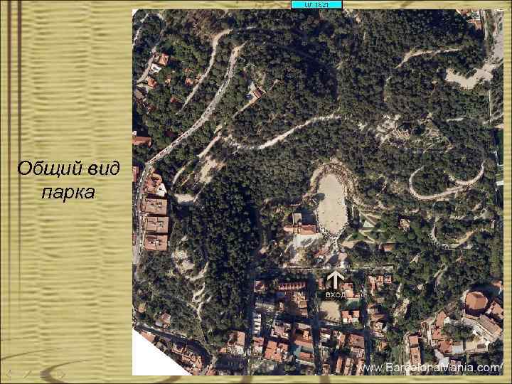 Общий вид парка 