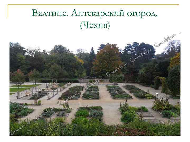 Валтице. Аптекарский огород. (Чехия) 