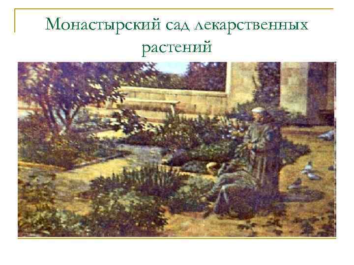 Монастырский сад лекарственных растений 