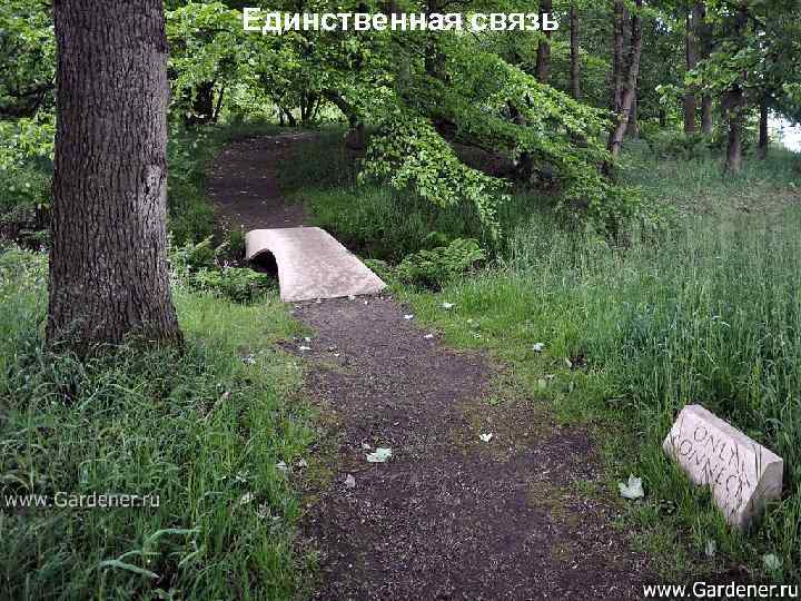 Единственная связь 