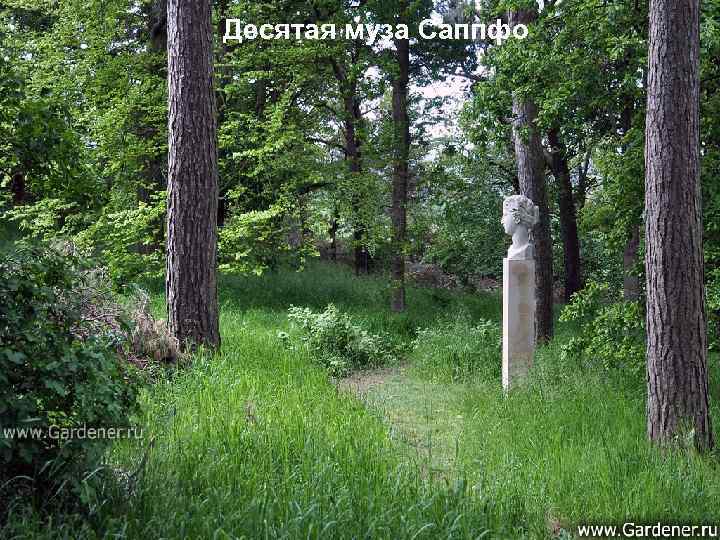 Десятая муза Саппфо 