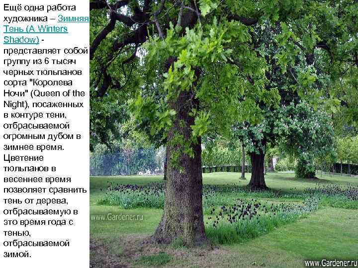 Ещё одна работа художника – Зимняя Тень (A Winters Shadow) - представляет собой группу