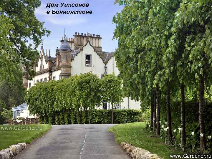 Дом Уилсонов в Боннингтоне 
