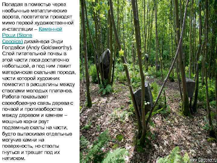 Попадая в поместье через необычные металлические ворота, посетители проходят мимо первой художественной инсталляции –