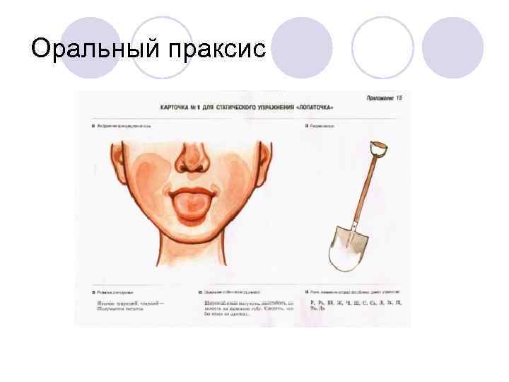 Оральный праксис 