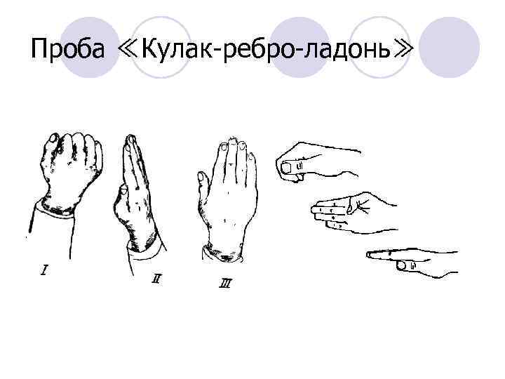 Проба ≪Кулак-ребро-ладонь≫ 