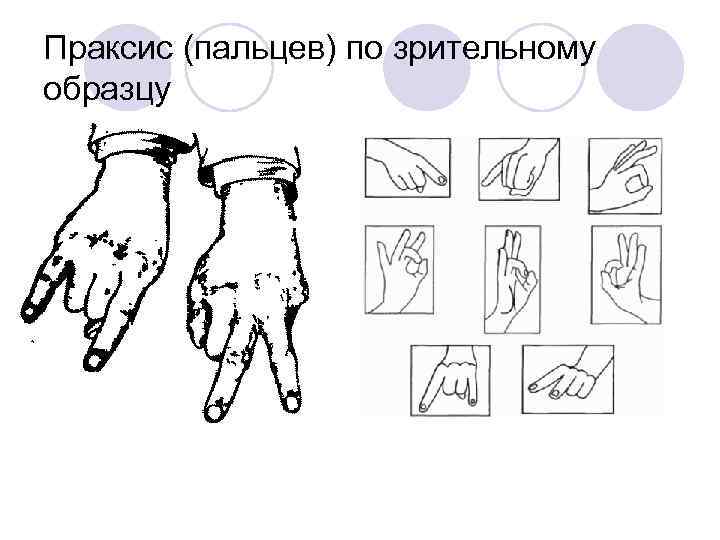 Праксис (пальцев) по зрительному образцу 