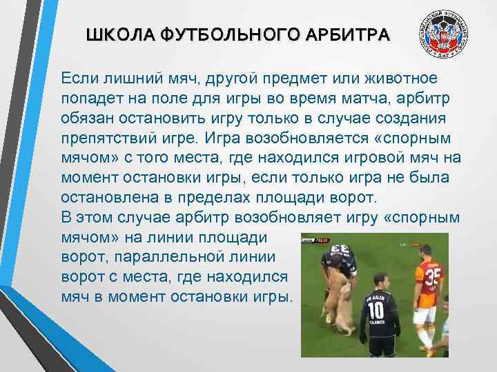 ШКОЛА ФУТБОЛЬНОГО АРБИТРА Если лишний мяч, другой предмет или животное попадет на поле для