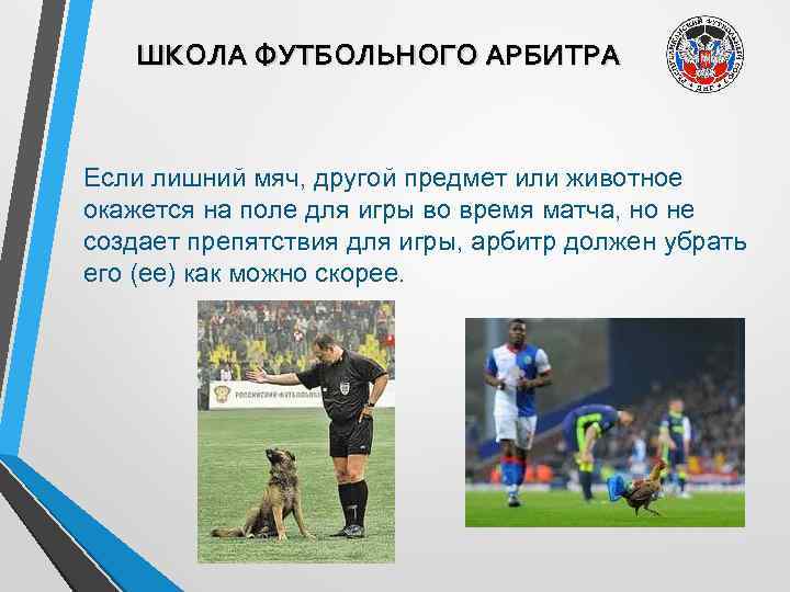 ШКОЛА ФУТБОЛЬНОГО АРБИТРА Если лишний мяч, другой предмет или животное окажется на поле для
