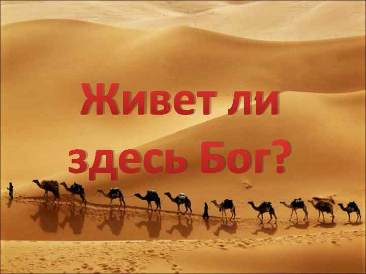 Живет ли здесь Бог? 