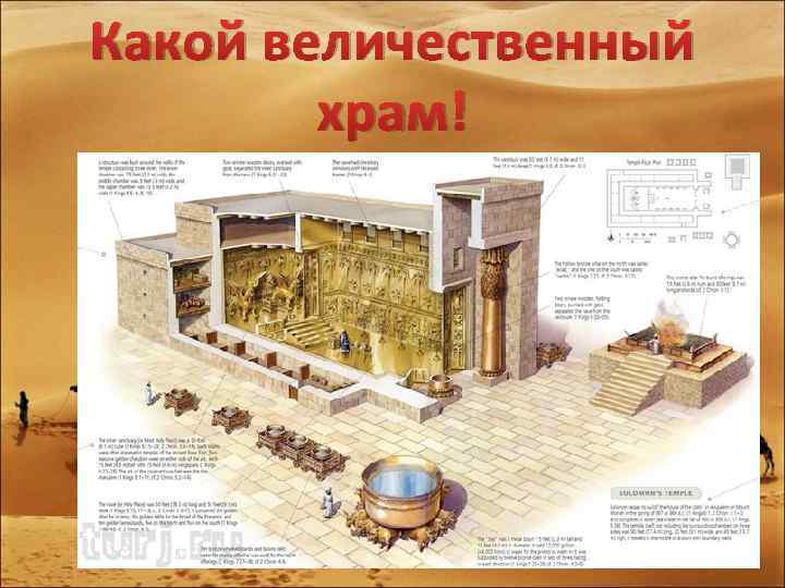 Какой величественный храм! 