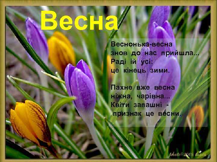 Весна Веснонька-весна знов до нас прийшла. . . Раді ій усі: це кінець зими.