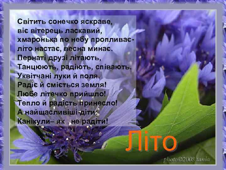 Світить сонечко яскраве, віє вітерець ласкавий, хмаронька по небу пропливаєліто настає, весна минає. Пернаті