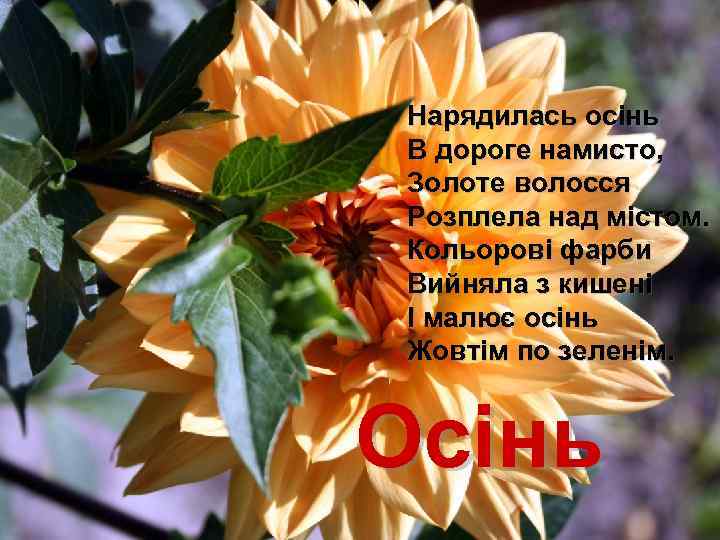 Нарядилась осінь В дороге намисто, Золоте волосся Розплела над містом. Кольорові фарби Вийняла з