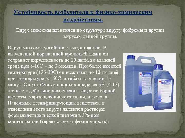 Устойчивость возбудителя к физико-химическим воздействиям. Вирус миксомы идентичен по структуре вирусу фибромы и другим